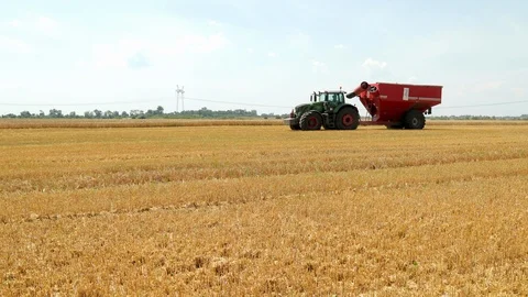 Green Tractor With A Red Trailer Rides On The Field During The Harvest. In The 스톡 동영상 107816112