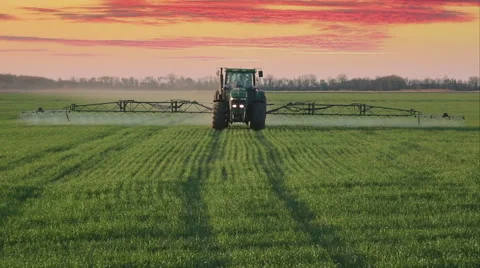 Green tractor spraying the wheat field with chemicals in sunny spring day Video stock 64325918