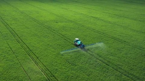 Green tractor spraying wheat field at sunset aerial view Stock Footage 310403028