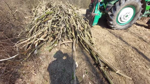 Green Tractor Working with Pile of Branches in Forest, Forestry and Wood Managem Stock Footage 333642529