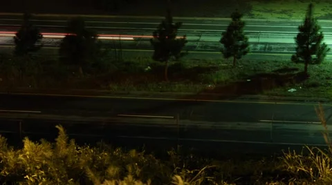 Green Traffic 動画素材 2149040