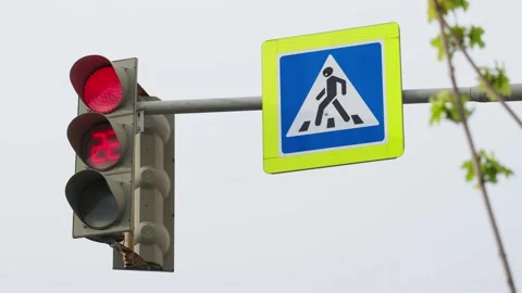 The green traffic light against the sky next to the tree branches flashes Stock Footage 278545853