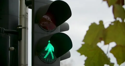 Green Traffic Light Stock Footage 141223700