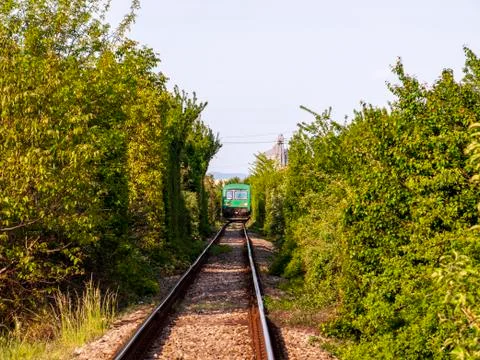 Green train on the horizin Stock Photos