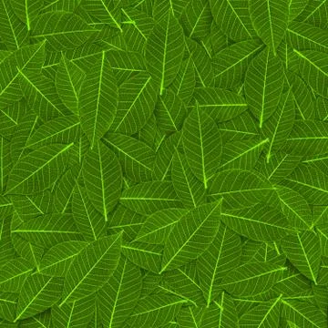 Green transparent leaf pattern Stock Illustration