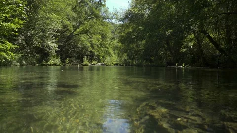 On a green transparent river in the forest going upstream Stock Footage 223354598