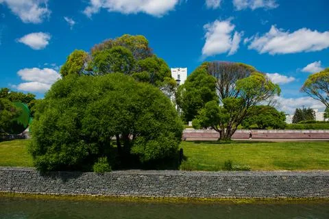Green tree against a background of clouds and blue sky Stock Photos