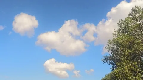 Green tree And Clouds Against blue Sky Timelapse 스톡 동영상 81604895