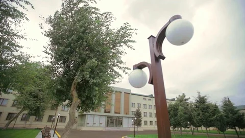 Green tree and grasses in the yard hospital Stock Footage 86410859