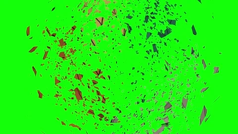 Green Tree and Leaf and Screen on Green Screen Background Horizontal 16:9 Stock Footage 339328401