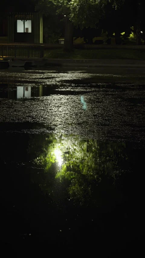 Green tree and light reflection on a dark pond at night. Stock Footage 342371515