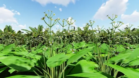 Green tree and white flower Stock Footage 338180308