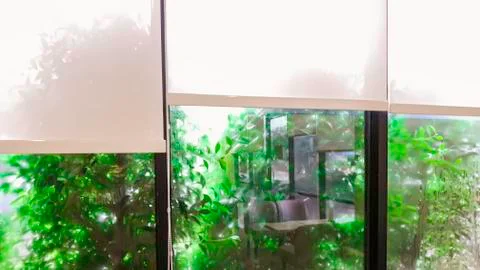 Green tree beside the window on raining day, Chilling time in coffee restaure Stock Photos