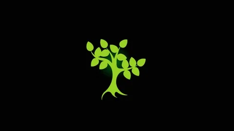 Green tree on a black background Stock Footage 220023342