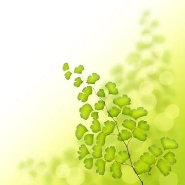 Green tree branch border Stock Illustration