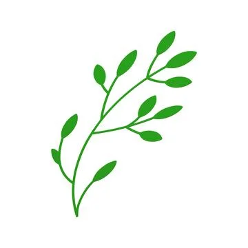 Green tree branch curved stem lush organic leaves eco bio botanical environ.. Stock Illustration