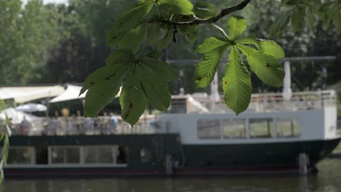 Green Tree Branch moving by the wind. Defocused Boat in a Canal River Stock Footage 132149212