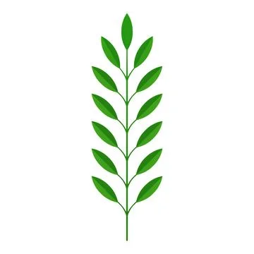 Green tree branch with stem and leaves tropical plant bio organic botany de.. Stock Illustration