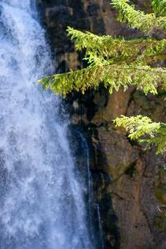 Green tree branches against the background of a waterfall in Wasserloch-Klamm Stock Photos