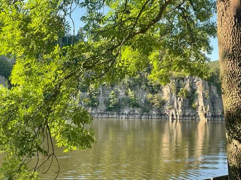 Green Tree Branches Framing Rocky River Bank Water Reflection Foto stock