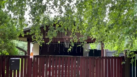 Green Tree Branches Over Wooden Fence, Horizontal Video Stock Footage 345043088