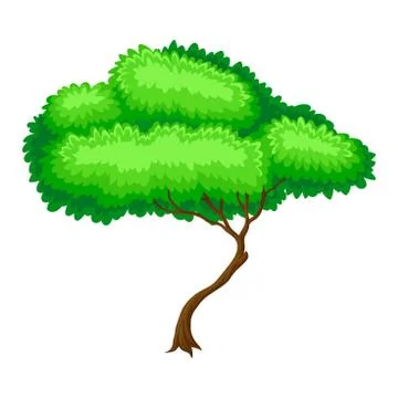 Green Tree with Brown Trunk and Leafy Crown as Forest Element Vector Stock Illustration