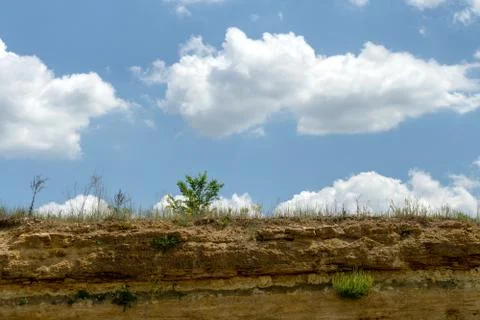 Green tree on a cliff on the background of bright summer sky Stock Photos
