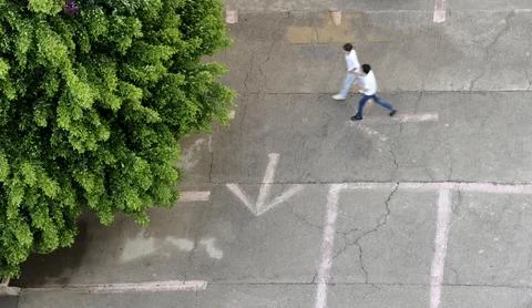 Green tree in the corner, two friends walking on the road and direction line on Stock Photos