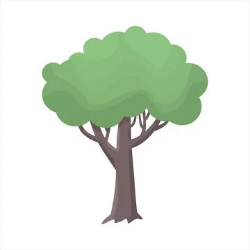 Green tree flat vector illustration. Beautiful tree icon isolated on white. N Stock Illustration