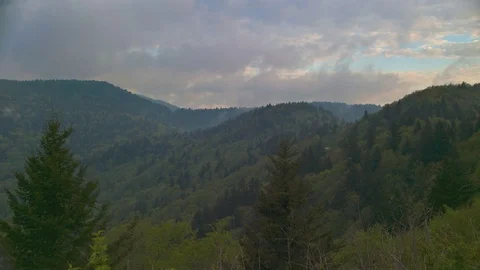 Green Tree Forest Layers on the Blue Ridge Mountains Video stock 76433678