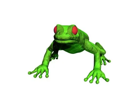 Green tree frog with red eyes Stock Illustration