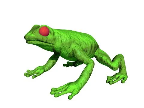 Green tree frog with red eyes Stock Illustration