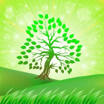 Green Tree Green Tree Growing on a Green Hill on a Background on the Sun R... Stock-Fotos