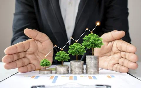 The green tree that is growing on coins increases in various forms, includi.. 스톡 사진