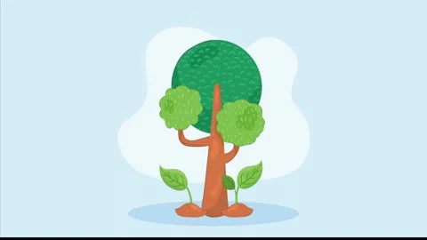 Green tree growing with leaves sprouting from base over time. Vídeos de archivo 339049305