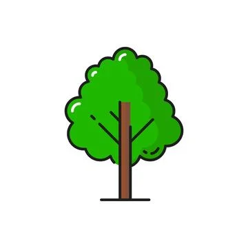 Green tree icon, maple, oak or elm forest plant Stock Illustration