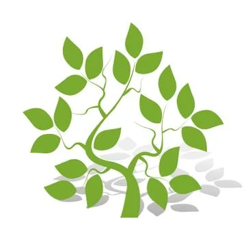 Green tree Stock Illustration