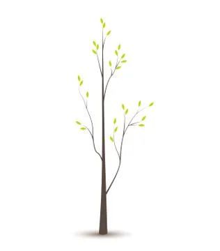 Green Tree Stock Illustration