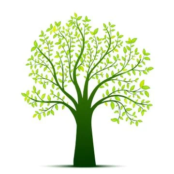 Green tree Illustrazione stock