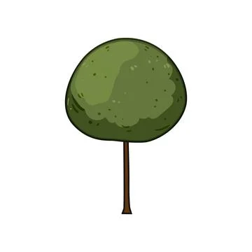 Green tree illustration with rounded foliage canopy Stock Illustration