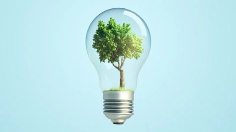 Green Tree Inside A light bulb loop Stock-Footage 5558253
