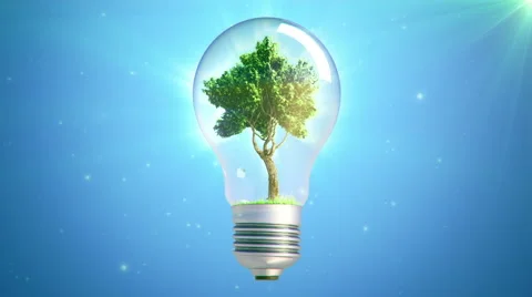 Green Tree Inside A light bulb loop Stock Footage 5563600