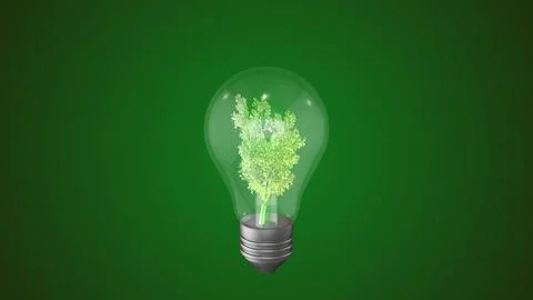 Green tree inside of light bulb イラスト素材