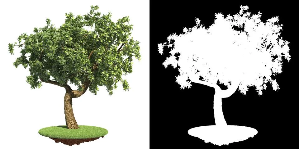 Green Tree Isolated on White Background. Stock Illustration