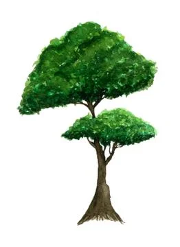 Green tree isolated on white Stock Illustration