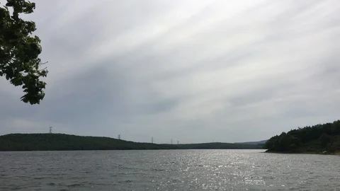 Green tree on the lake 스톡 동영상 107394520