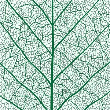 Green tree leaf veins texture pattern with cells 스톡 일러스트