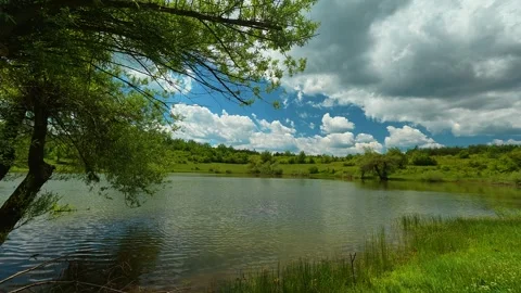 Green tree leans over calm lake water. Vrmdza Lake, Serbia Stock Footage 338024347