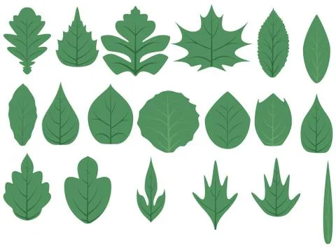 Green tree leaves. Stock Illustration