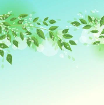 Green tree leaves Stock Illustration